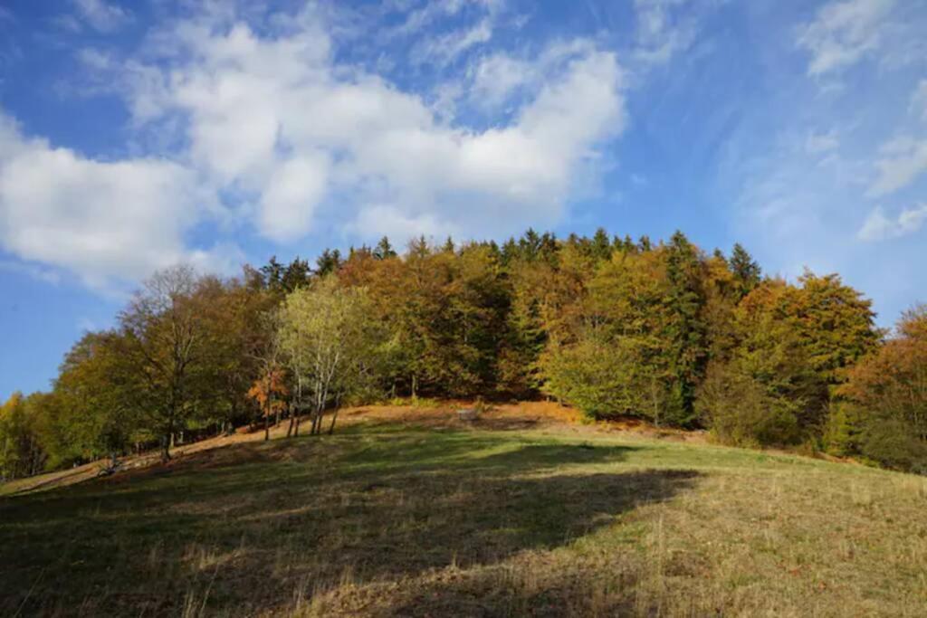 Ruhiges Ferienhaus Am Waldrand Mit Sauna Und Kamin - Hellaberg II Langenbach  Exterior foto